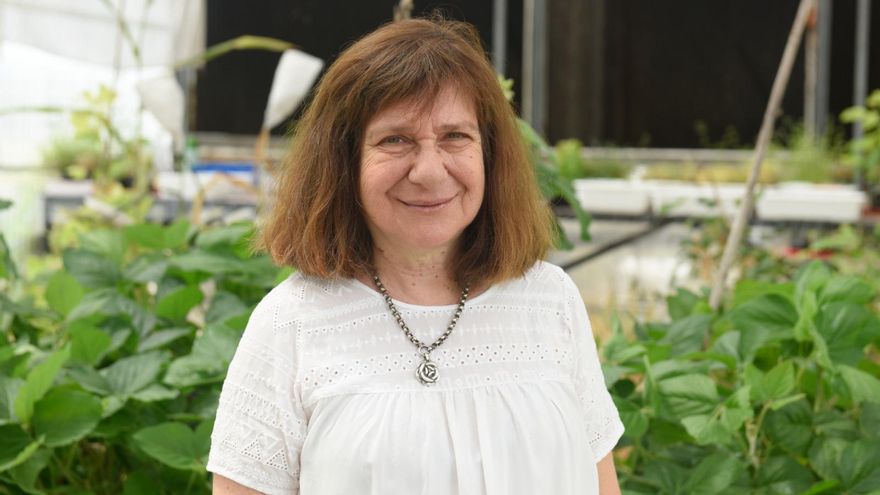 Raquel Chan, la bioquímica que desarrolló cultivos resistentes a la sequía, premiada