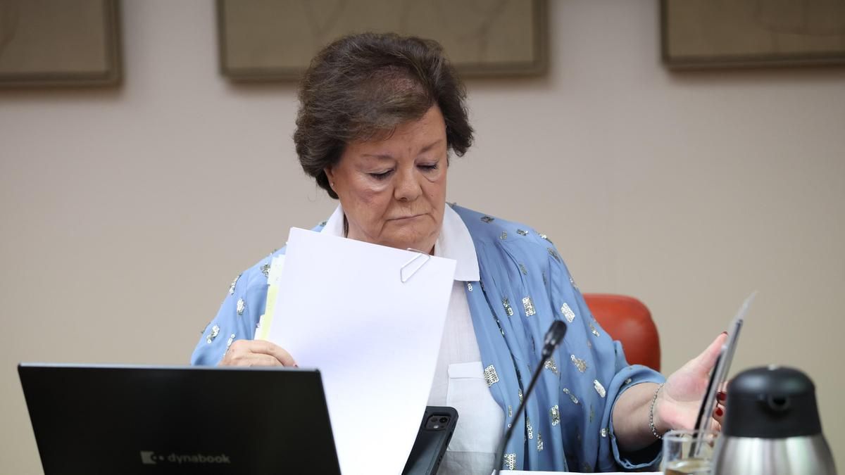 El Tribunal de Cuentas detecta "carencias" en la supervisión de las retribuciones de concejales canarios