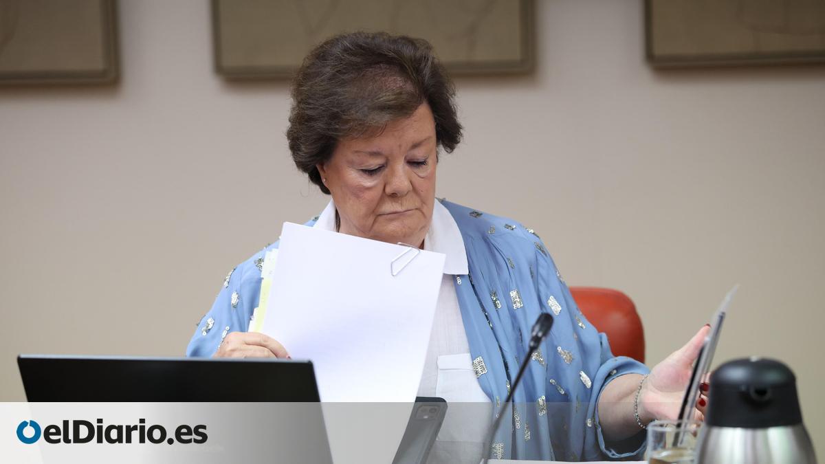 El Tribunal de Cuentas detecta "carencias" en la supervisión de las retribuciones de concejales canarios