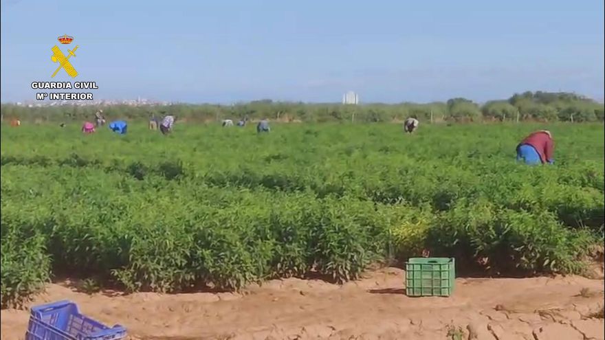 Hacinados y durmiendo bajo candado: cae una red que explotaba en La Rioja a 45 temporeros, algunos menores