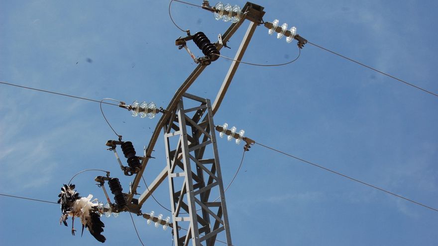 Ecologistas denuncian que el proyecto fotovoltaico de Solaria en Álava carece de estudio de impacto sobre la fauna