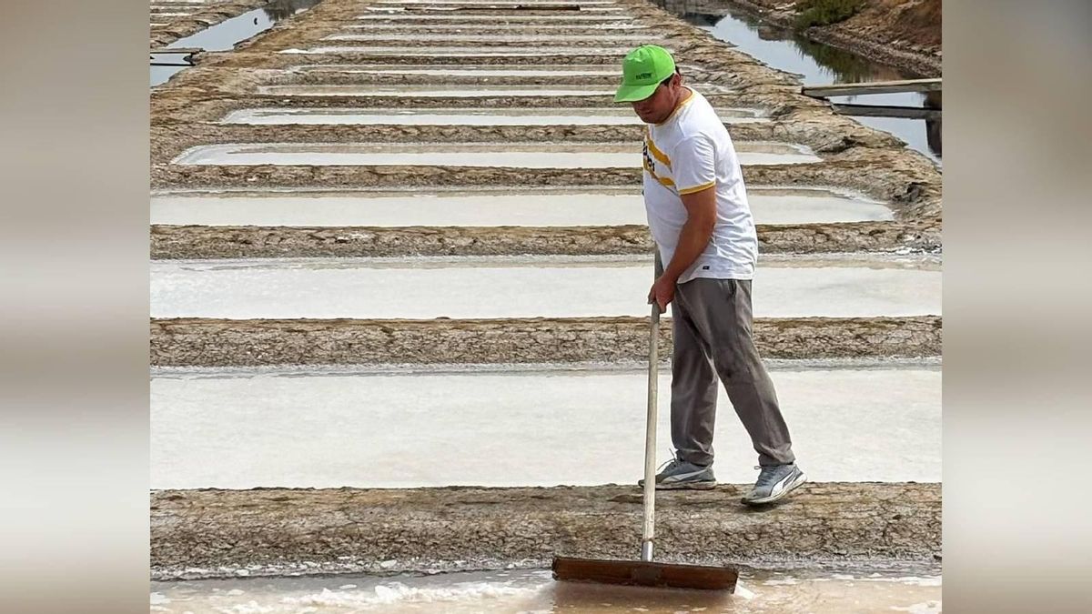 Una bodega, una huerta y unas salinas: tres ejemplos desde Huelva del liderazgo de Andalucía en producción ecológica