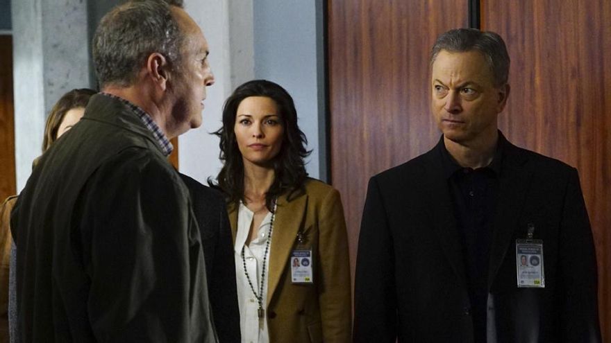 Imagen de Mentes criminales: Sin fronteras