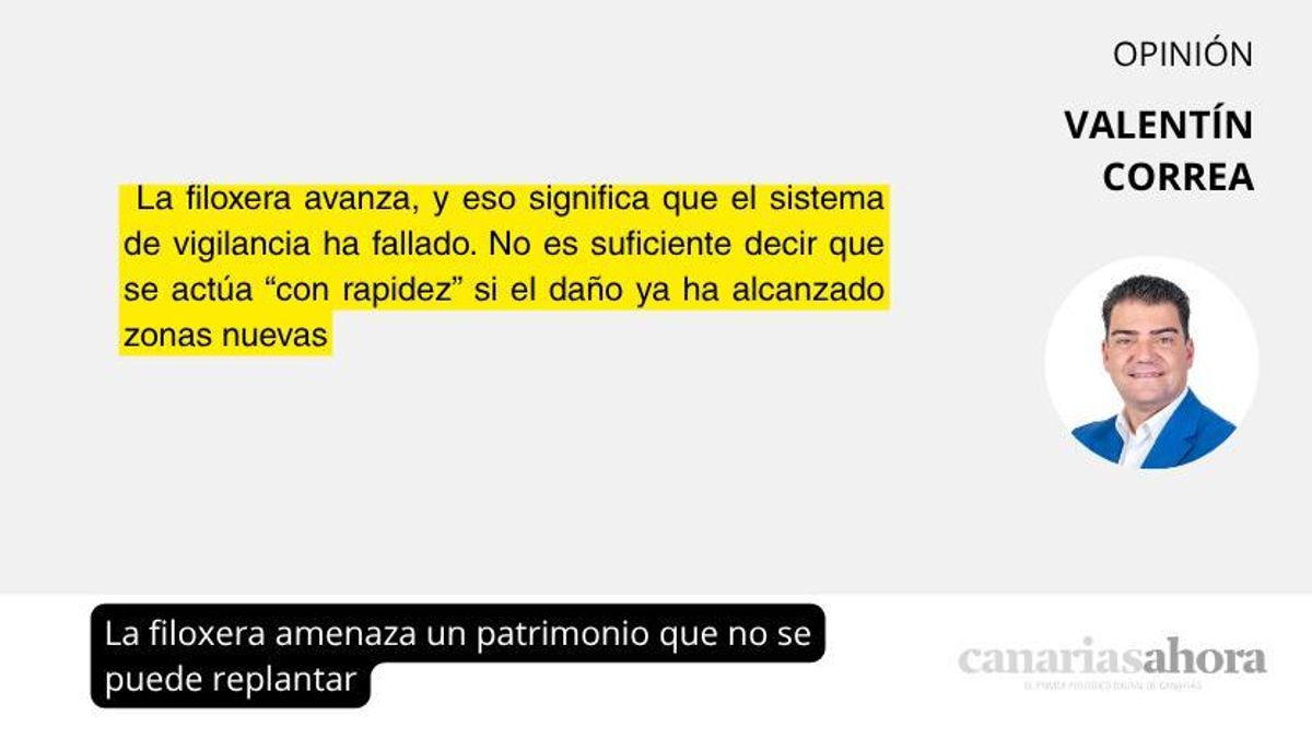La filoxera amenaza un patrimonio que no se puede replantar