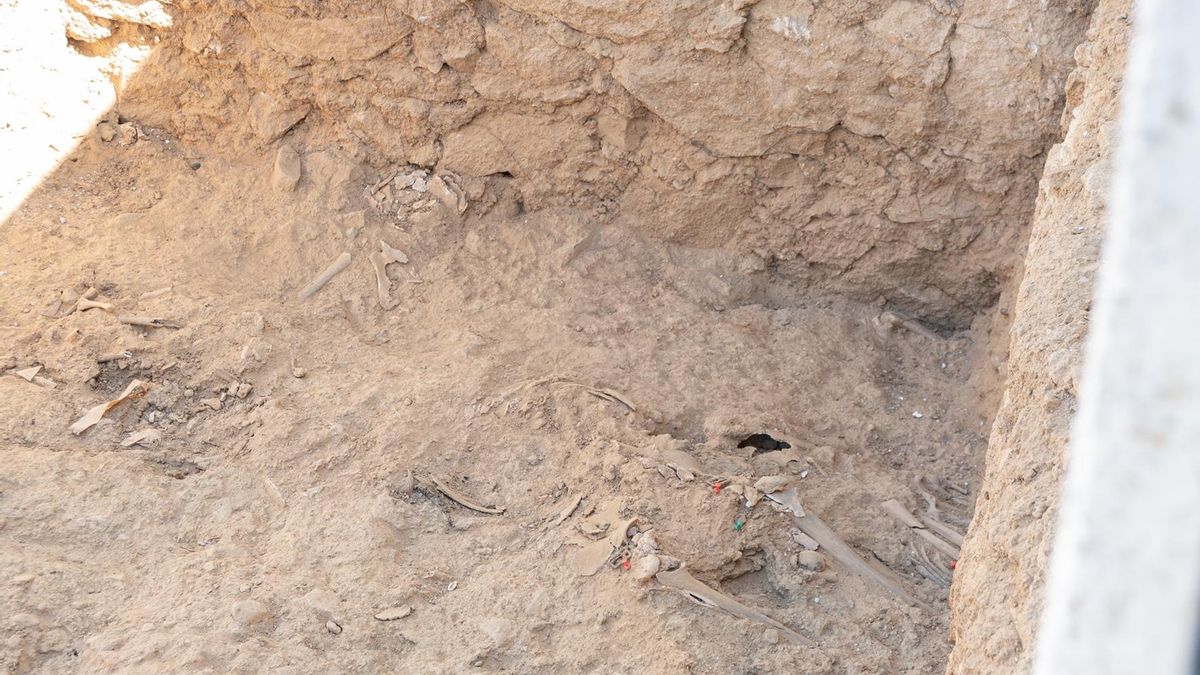 Hallan restos de seis personas en posible fosa común de la Guerra Civil en Villamesías (Cáceres)