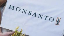 Monsanto debe pagar 289 millones de dólares por efecto cancerígeno de glifosato