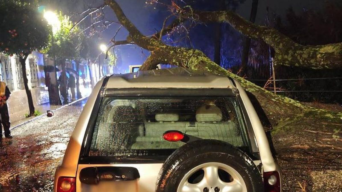 Daños por el temporal en Cabra.