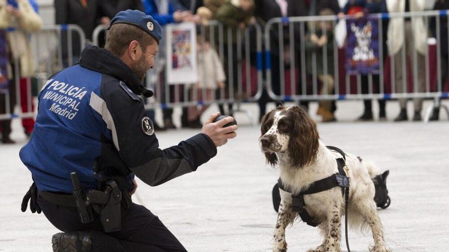 Exhibición de la Unidad Canina de la Policía Municipal