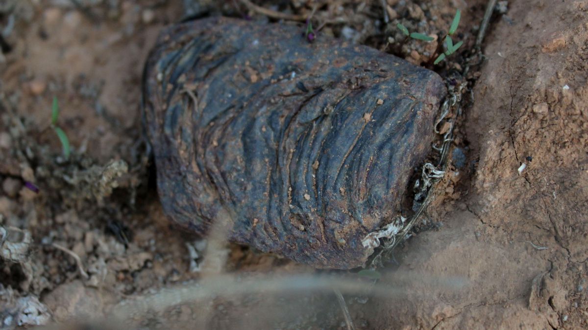 Una escoria de la fundición del plomo sobre la tierra vegetal de la cubierta de sellado de El Lirio. Se trata de residuos de la antigua industria minera que liberan metales pesados a su alrededor / Fotografía tomada en octubre de 2025