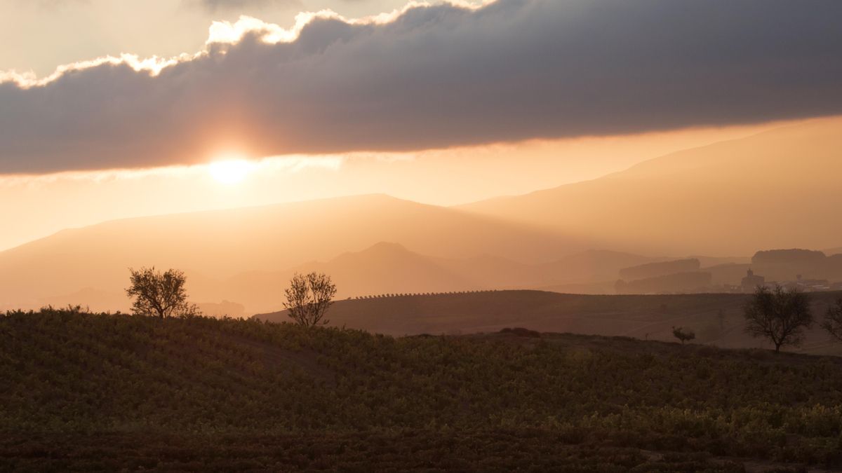Amanecer en el Camino de Santiago a su paso por La Rioja