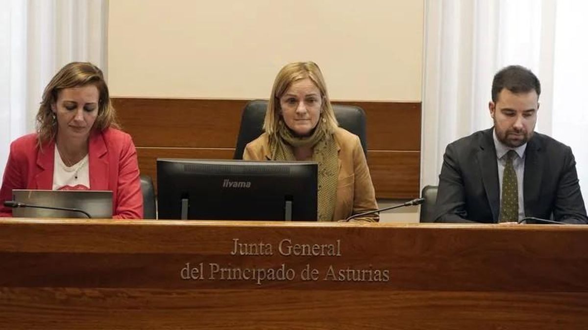 Covadonga Tomé, en el centro, durante una de las sesiones de la comisión de investigación por el accidente en la mina de Zarréu.