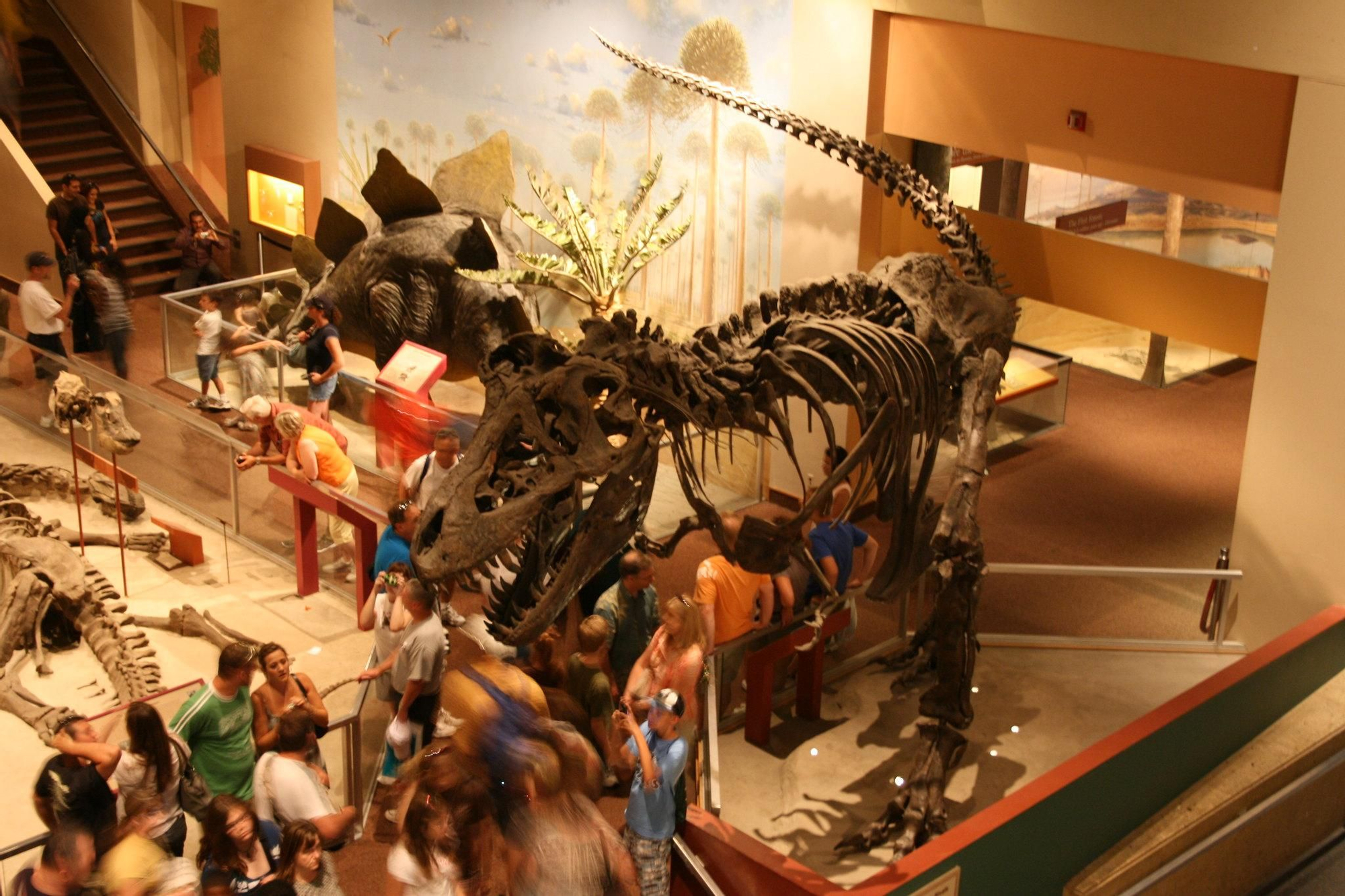 Fósil de T-Rex en el Smithsonian Museum de Washington