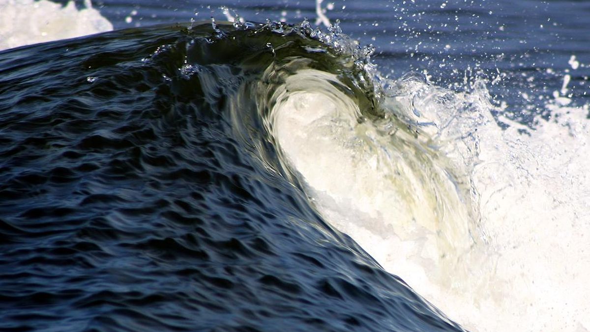 La carrera matemática por desentrañar el movimiento de los fluidos