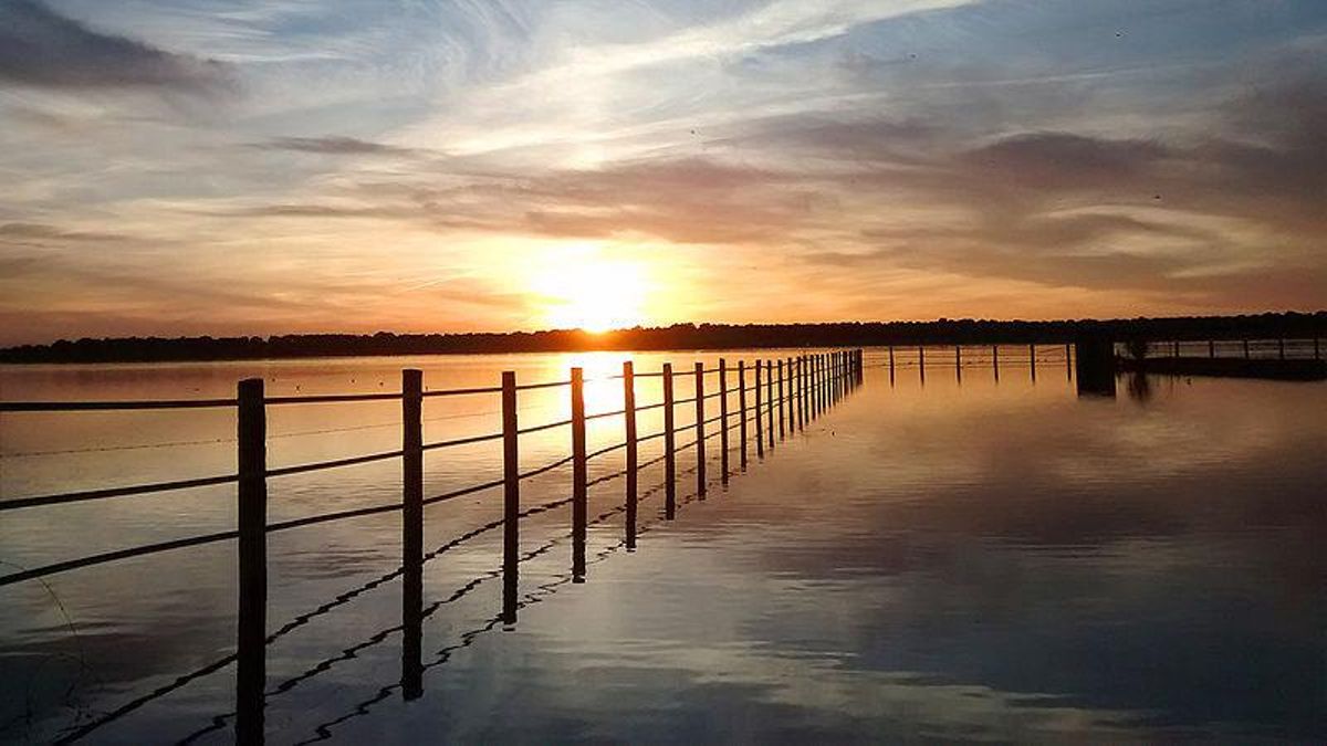 Atardecer en La Dehesa de Abajo, Parque Nacional de Doñana.