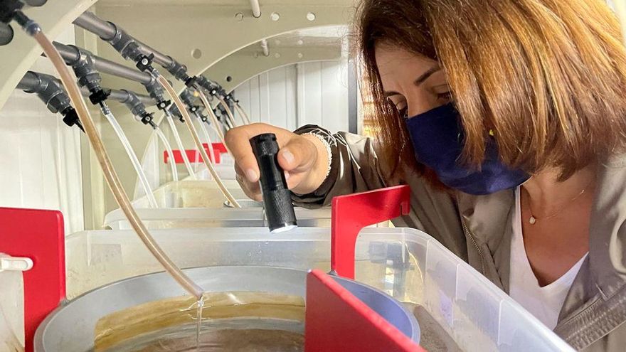 Tres plantas únicas en el mundo y otras 24 especies en peligro que viven en los terrenos que quiere ocupar Altri