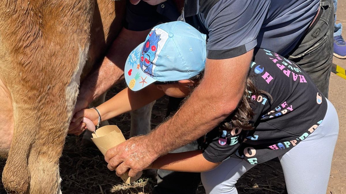 Garafía acerca el producto local a la infancia con el proyecto ‘Sembrando futuro’