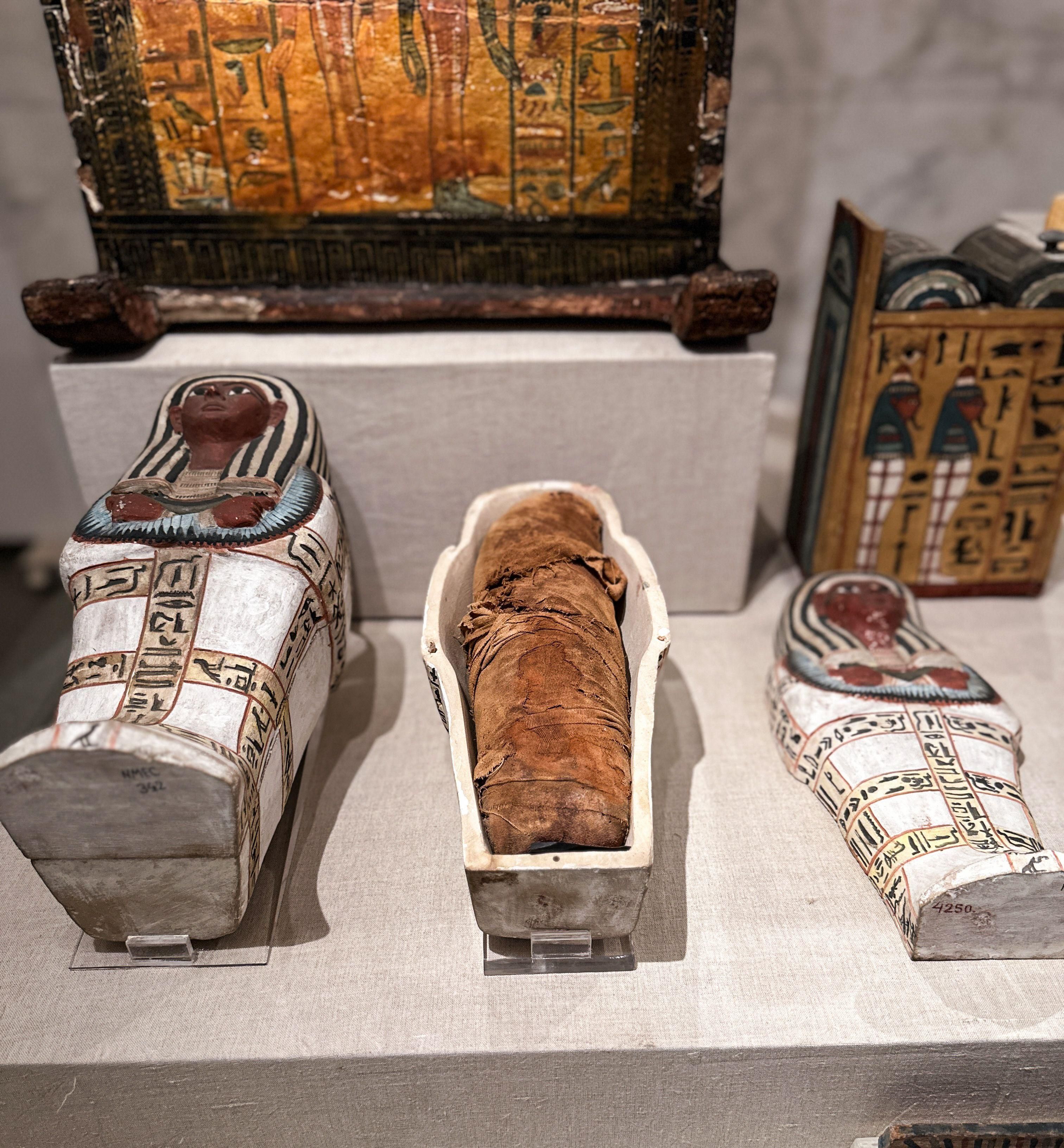 Muestras de momias