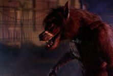 werewolves_2024_2