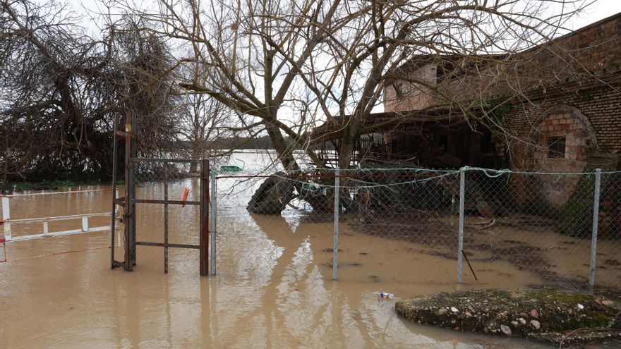 Crecida del río Guadalquivir a su paso por el pueblo sevillano de Lora del Río.