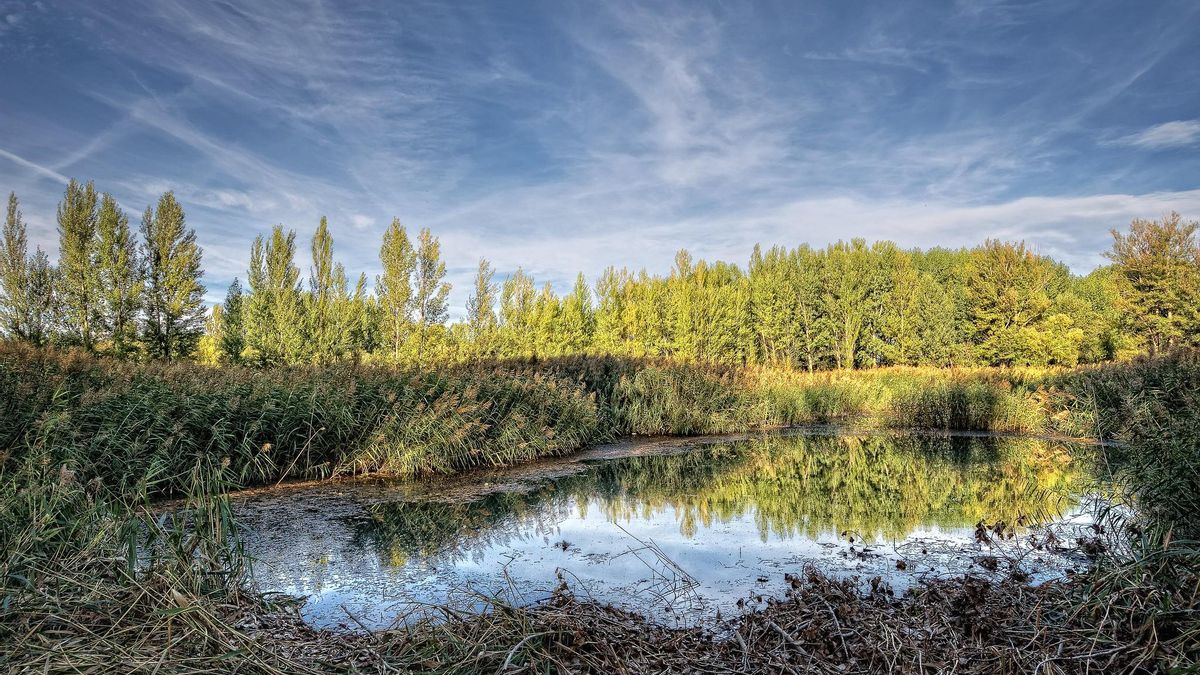 Surtidor en los Ojos de Monreal.