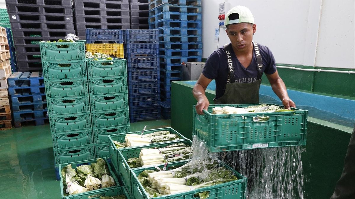 Un trabajador migrante en un almacen.