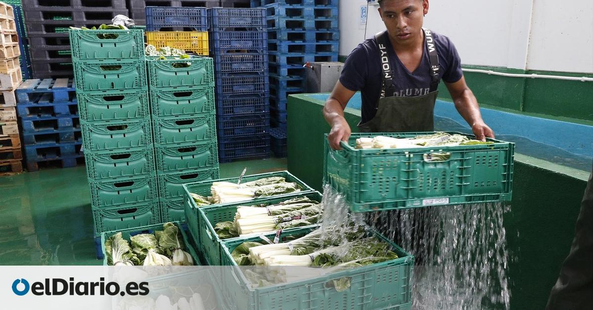 CC avala la regularización de migrantes pero avisa de falta de previsión