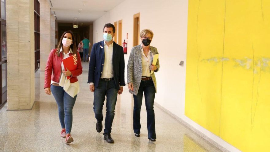 La coordinadora del Área de Familia e Igualdad de Oportunidades, Nuria Rubio, el portavoz del Grupo Socialista, Luis Tudanca; y la portavoz del área de Familia, Isabel Gonzalo