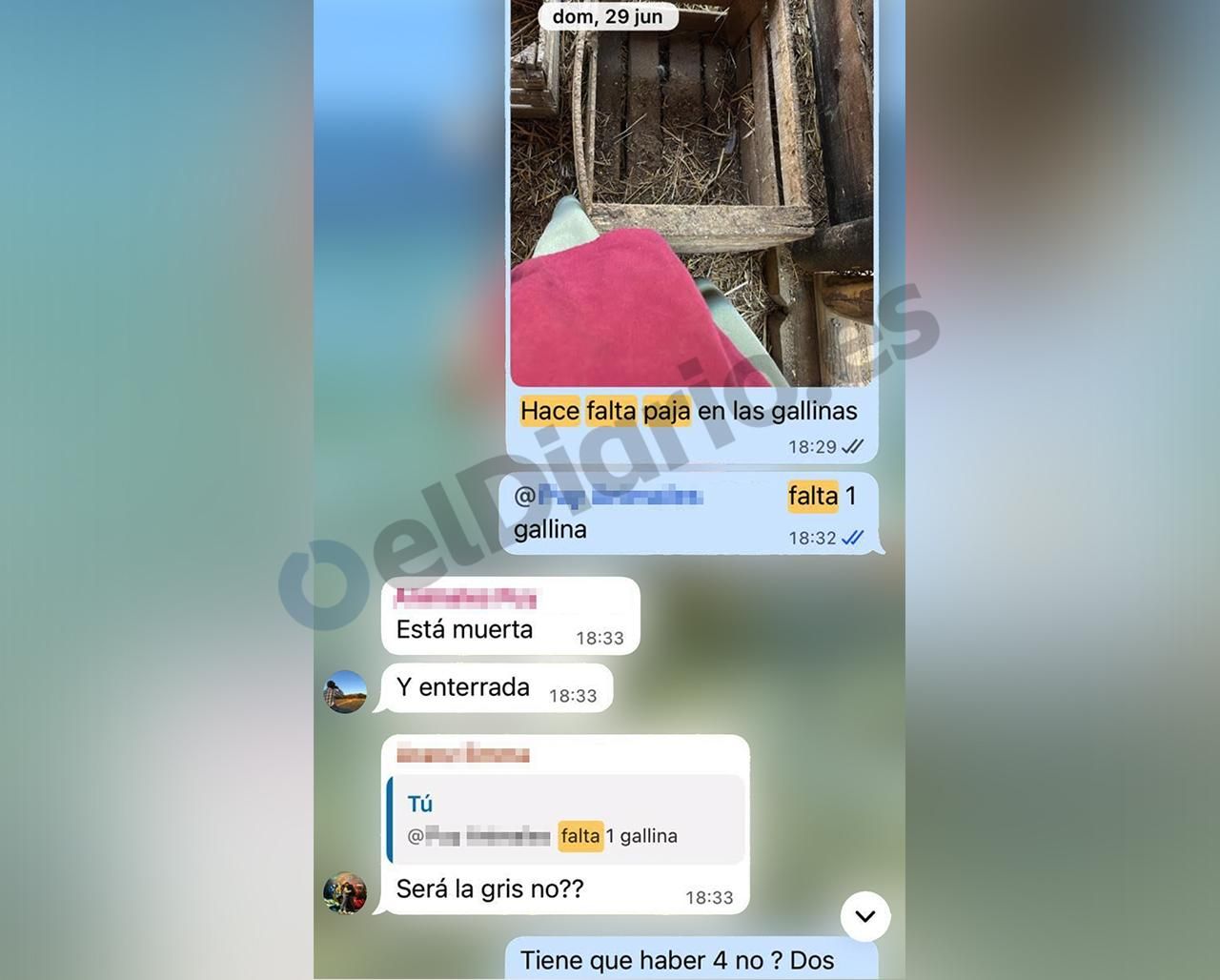Captura del chat de WhatsApp del departamento de animales de Puy du Fou