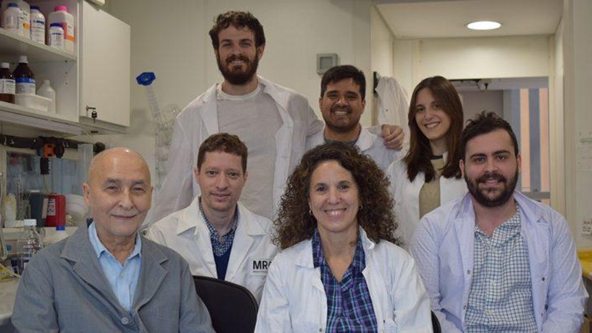 El equipo completo liderado por el Dr. Barrantes (a la izquierda, abajo).