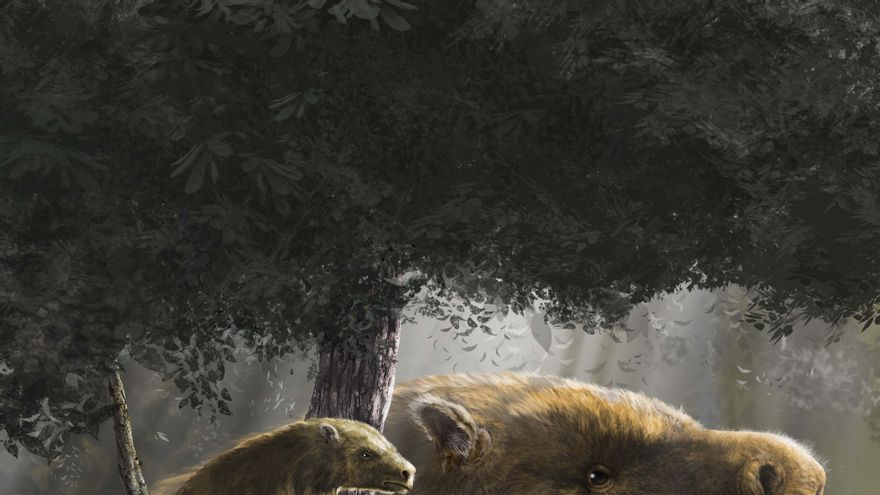 El perezoso sudamericano, una historia de éxito evolutivo hasta que llegaron los humanos