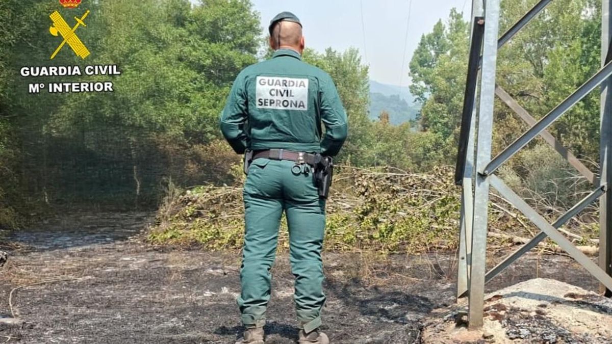 A prisión una mujer que fue detenida por provocar un incendio forestal en Vega de Espinareda en julio