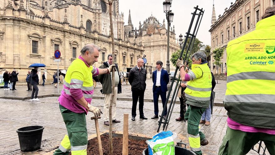 Muñoz asiste a la plantación de las jacarandas en la Avenida de la Constitución