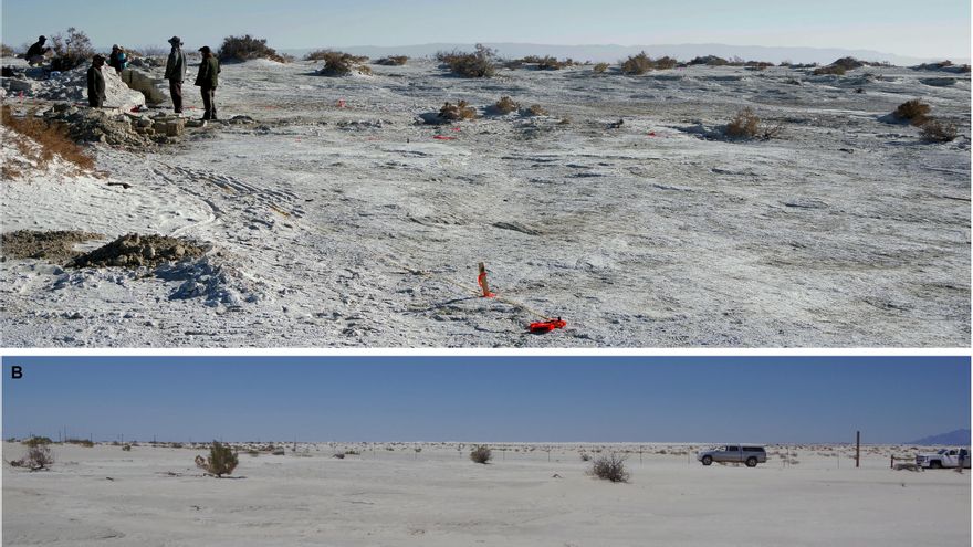 Descubren huellas fósiles que revelan presencia humana en América miles de años antes de lo que se creía