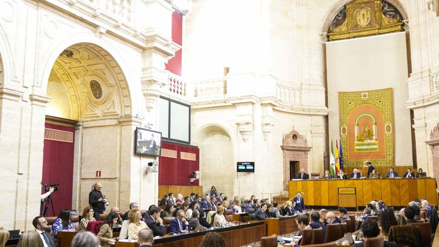 El Pleno del Parlamento andaluz durante su sesión de este jueves, 13 de noviembre de 2025.