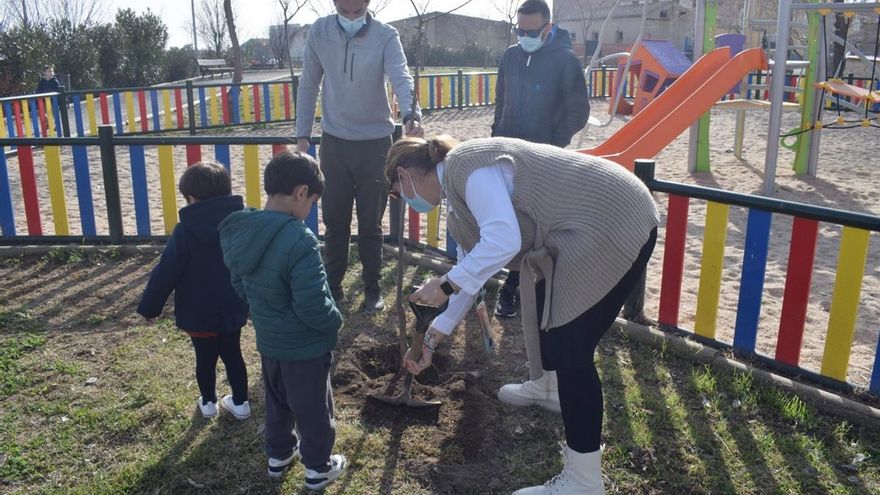 Iniciativa 'Hermano árbol'