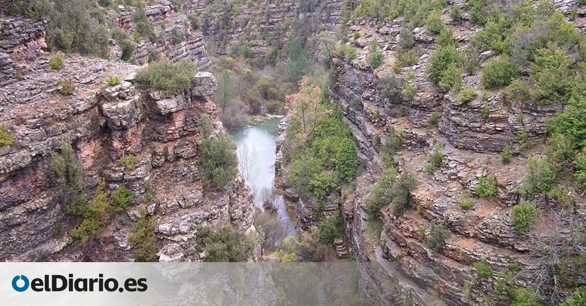 Pequeños propietarios de tierras en la Serranía de Cuenca se unen en asociaciones para gestionar el bosque