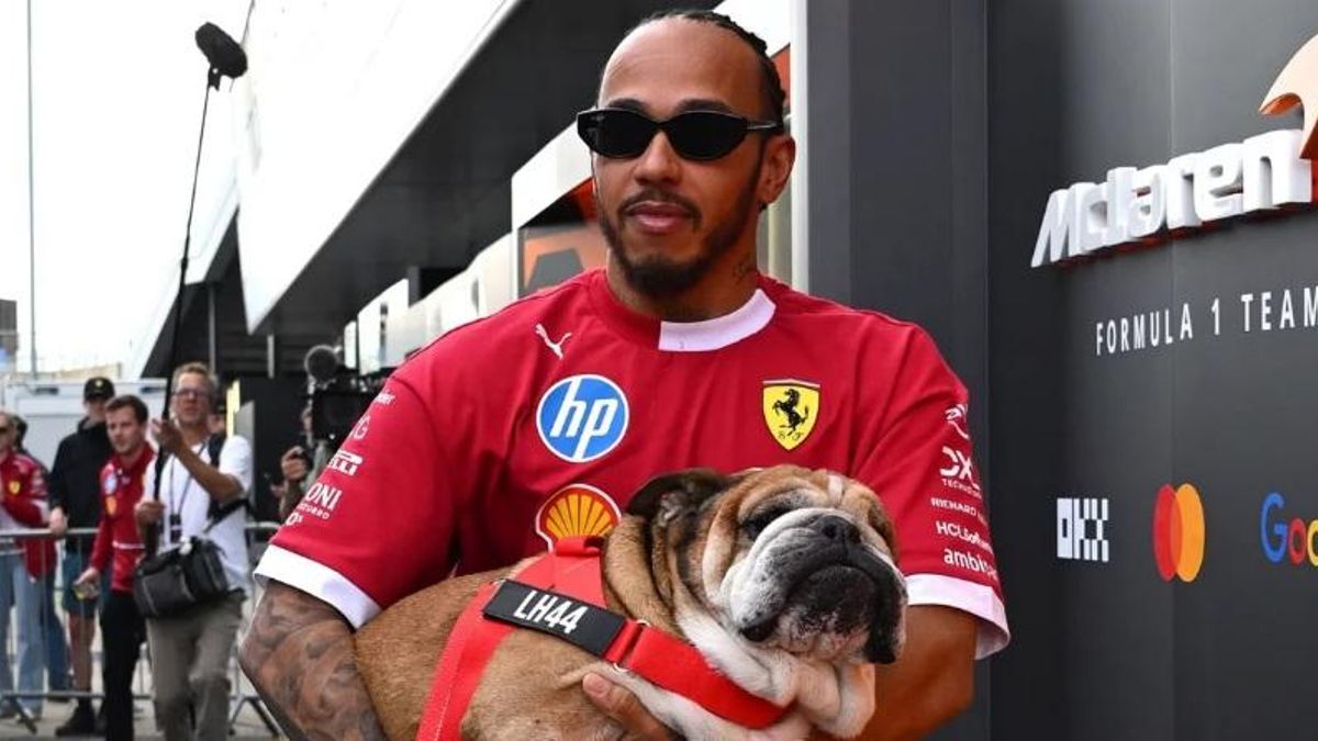 Lewis Hamilton y Roscoe.