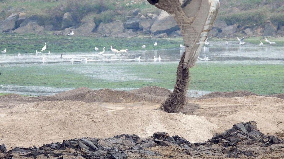 Ecologistas en Acción también solicita la paralización cautelar del relleno de la marisma de Raos