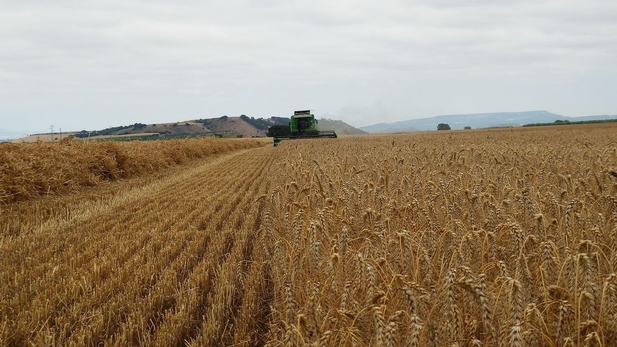 Abierto el plazo para las ayudas de la PAC: estos son los plazos y tipos de subvenciones