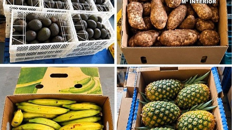 Intervenidas en Tenerife dos toneladas de fruta tropical cuya venta está prohibida en Canarias