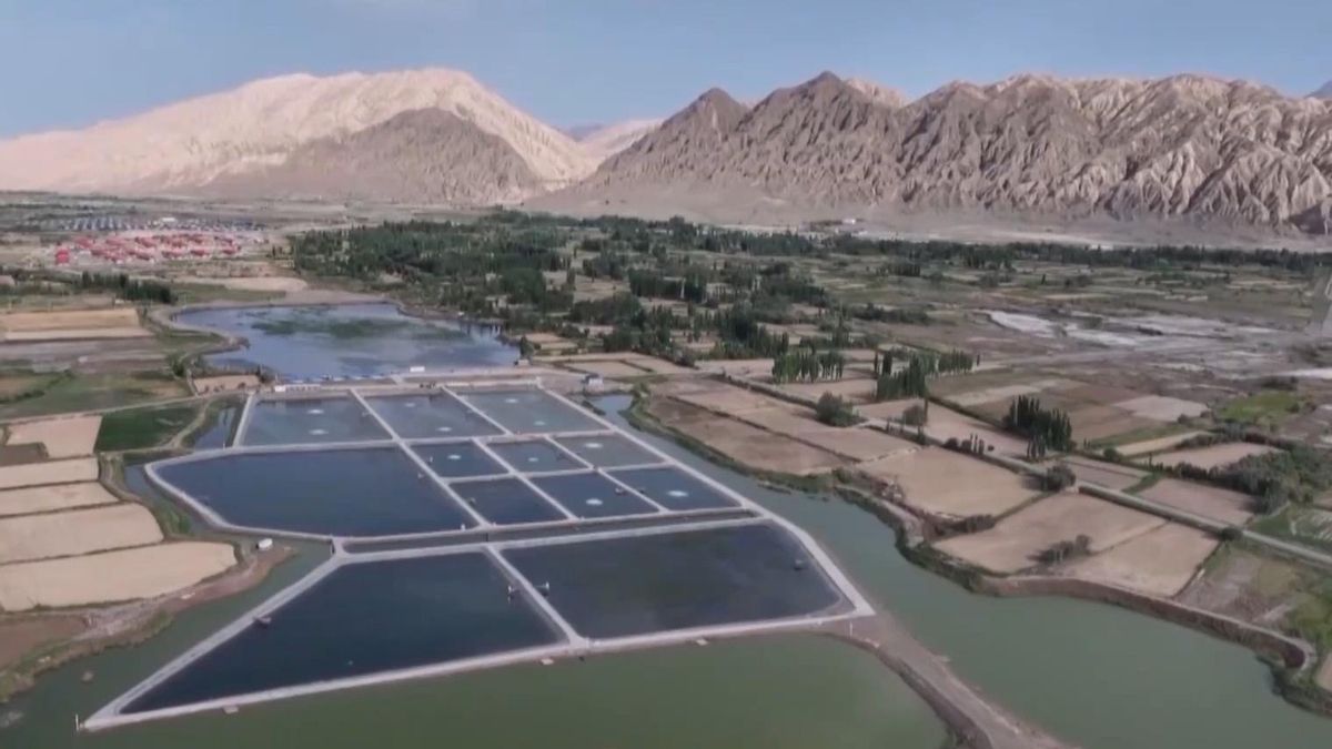 La producción acuícola supera los 190.000 toneladas y sigue creciendo