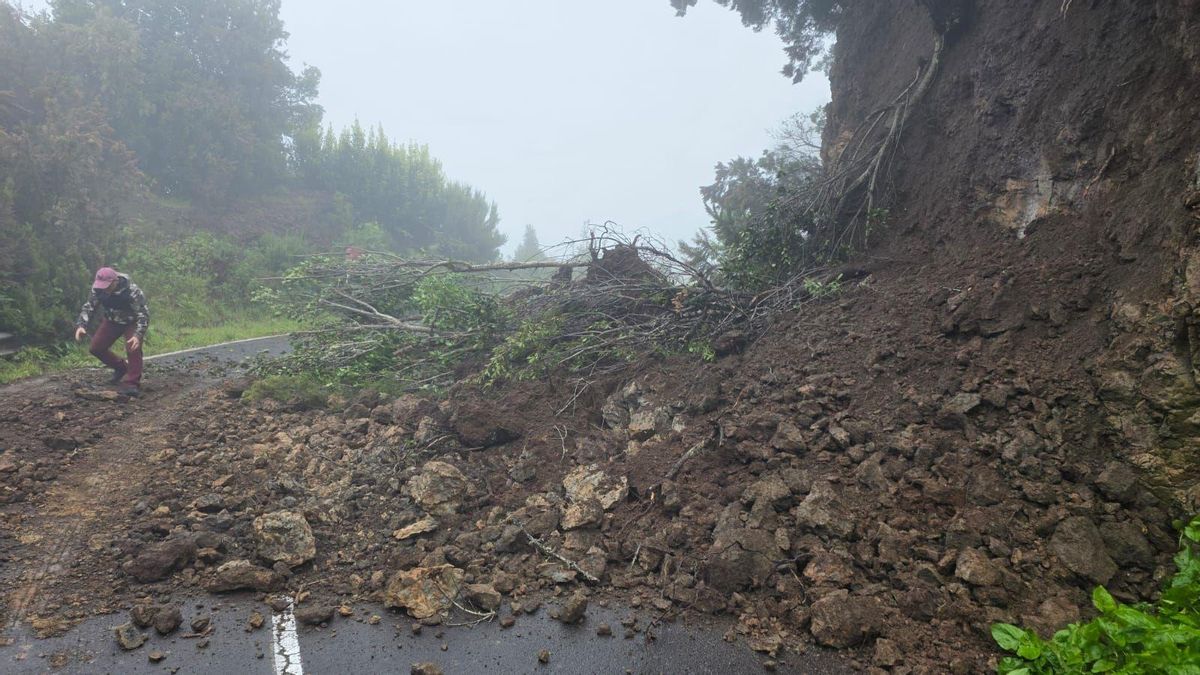 Desprendimiento en la carretera de la Cruz Castillo a Franceses  (LP-1). 