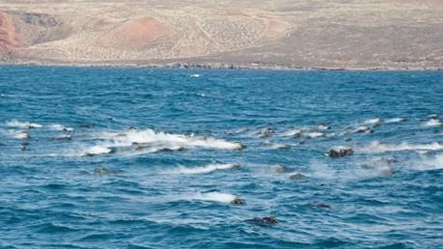 El Instituto Geográfico Nacional comparte imágenes inéditas de la erupción submarina del volcán Tagoro, en El Hierro.