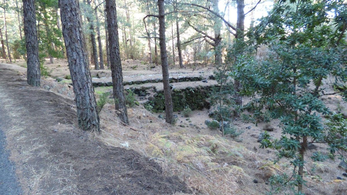 El PSOE propone mejoras en la seguridad del Llano de Las Cuevas y la conservación de ‘El Barbate’ del barranco de Herrera