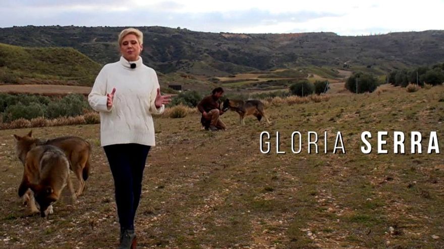 'Equipo de investigación' destapó el "fraude" en los ataques del lobo