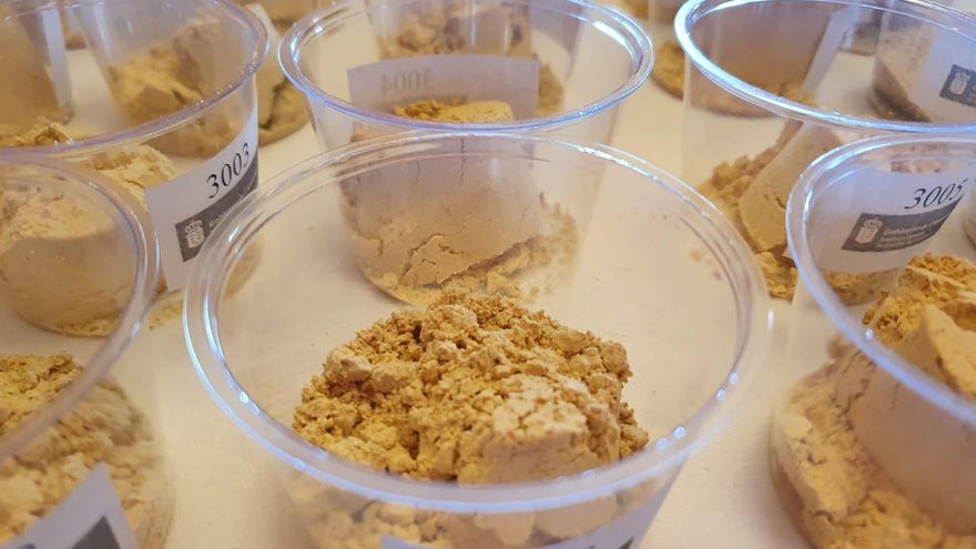 Abierta la convocatoria para participar en el Concurso Oficial de Gofio Agrocanarias 2021