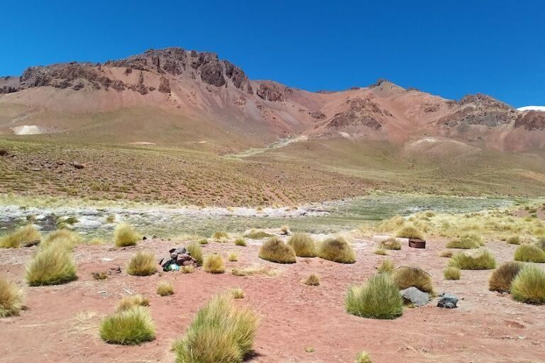 Nacientes de agua Tata Poquis. Foto: cortesía Comunidad Lickanantay de Toconao