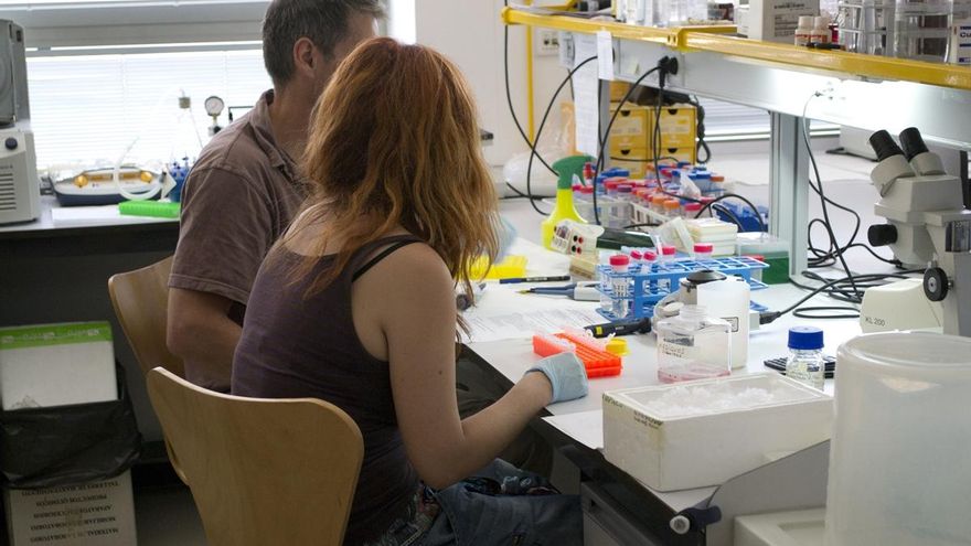 Prácticas en la UCLM