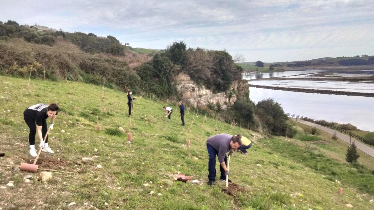 Los vecinos de Suances pueden solicitar árboles y arbustos del 12 al 26 de enero