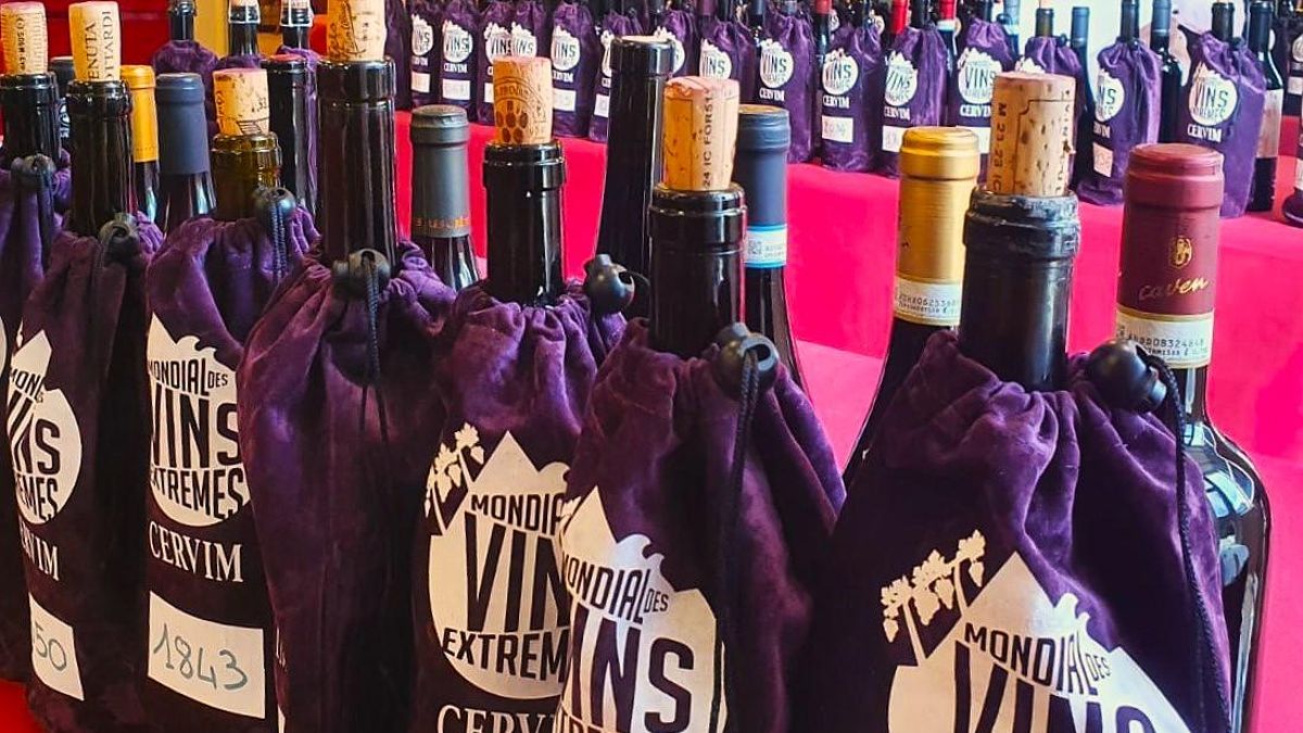 Caldos participantes en el Mundial de Vinos Extremos 2025.
